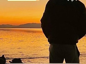 抖音热门话题撕心裂肺的汤歌曲深度剖析及资源整理