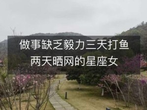 织网者不言渔，资源管理的深层隐喻与策略智慧