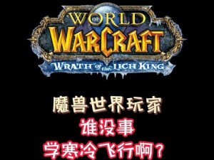 魔兽世界怀旧服，大号带小号经验奥秘与高效策略探秘