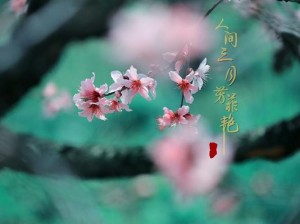 花开双生与叶的不谐之歌，资源管理与游戏中的寓意深析