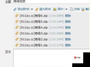 盐母 6 部具体发行年份相关内容及探讨