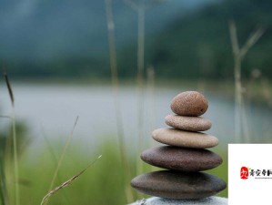 水果派解脱：探寻内心的宁静与解脱之道