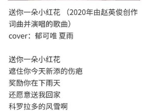 抖音热门BGM大揭秘，我送你的红玫瑰之歌背后，隐藏着哪款游戏的独特魅力？