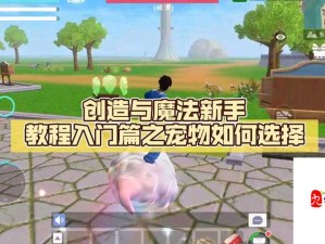 创造与魔法，掌握坐骑敲晕技巧与资源管理高效策略