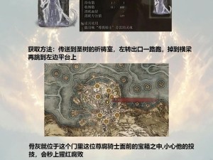 艾尔登法环法师速成秘籍！零基础必看的保姆级教程附文件名下载🔥