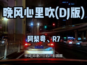 探寻抖音热门旋律 揭秘旋转故事风车之歌