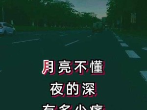 深夜辗转时这首歌的旋律是否悄然触动你的心弦