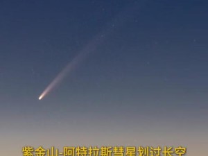 Kreator星季与彗星哪个更适合新手？彗星为何成为推荐之选？