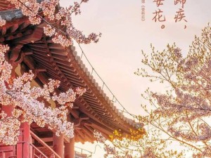 长安归故里，探寻诗意栖居与文化情感的深度共鸣