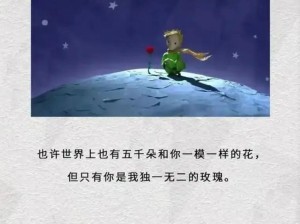 小王子星球上的独特生命，资源管理的奇妙智慧与策略