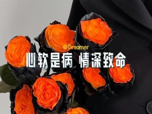 心软非病 回头致命 掌握图片资源管理的精妙艺术