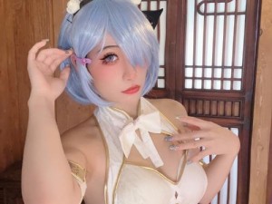 如何在资源管理中高效玩转旗袍雷姆？从零开始的异世界生活攻略揭秘