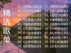 抖音热门歌曲探秘，致自己与初心的动人旋律