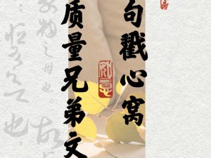 两兄弟感情好文案大揭秘：他们的情谊为何如此深厚？怎样的故事令人感动？