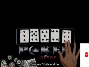 外国人打扑克又疼又叫哔哩哔哩：揭秘真实背后的故事