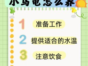 魔法5级龟饲养秘籍！必看的成长食谱与进阶技巧
