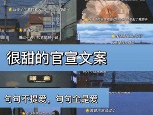 醉人情话中的温柔陷阱，三杯下肚，便倒你怀里言浪漫