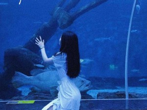 林深海蓝梦醒时分 探寻图片资源管理的精湛艺术