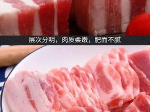 付先生 1VLH 一块五花肉究竟有何特别之处？探秘其背后的故事与奥秘