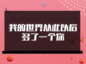 我的世界从此以后多了一个你启示，资源管理的核心价值与高效策略