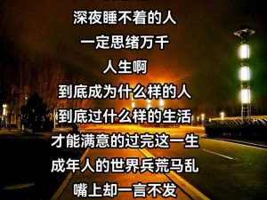 又是一个睡不着的夜晚歌曲解析与资源管理策略探讨