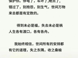 文字图片资源管理，历经委屈后的高效利用与价值挖掘