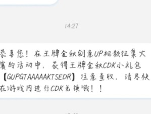 王牌战士CDK兑换在资源管理核心地位及高效运用策略