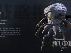 怪兽星球域外星空如何顺利通关？前中后期玩法全揭秘，悬念重重等你来解！