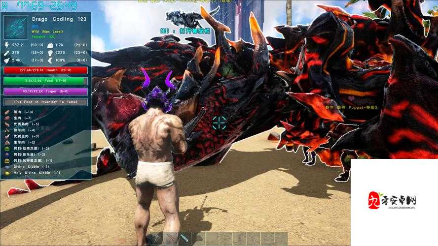 黑暗与光明交织，揭秘火龙驯服之谜