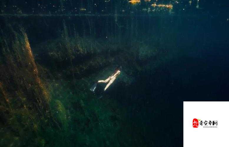 创造与魔法探险指南，毒蘑菇的隐秘踪迹