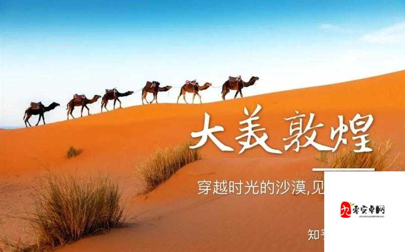 创造与魔法沙漠狼捕捉指南，探寻神秘沙漠的狂野踪迹