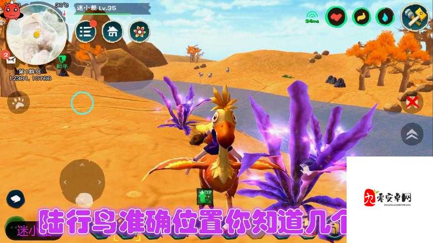 探索创造与魔法中的陆行鸟羽毛，多功能与无限可能