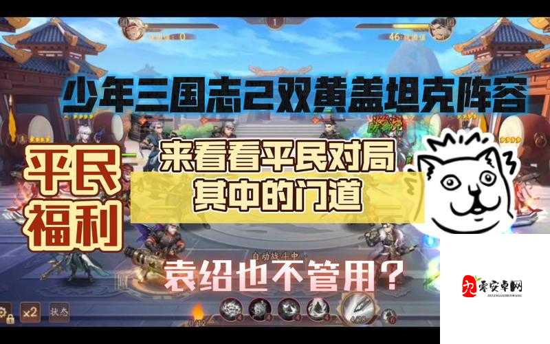 少年三国志2黄盖怎么玩，黄盖培养攻略全解析