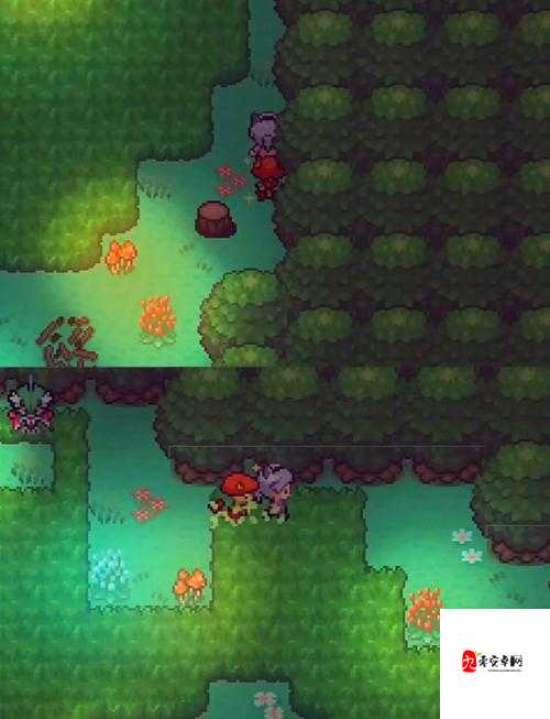 探秘口袋妖怪，谁才是输出之王？