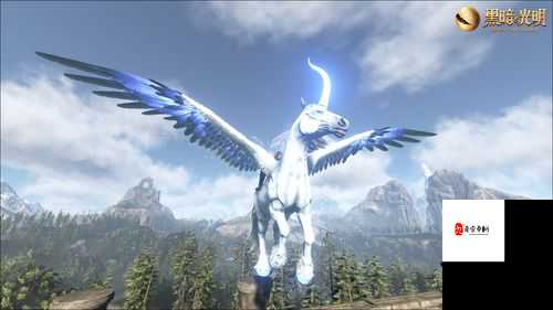 黑暗与光明，揭秘四大神兽与抓捕奇招