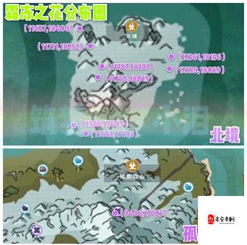 探索创造与魔法中的霜冻之花，奇妙用途揭秘