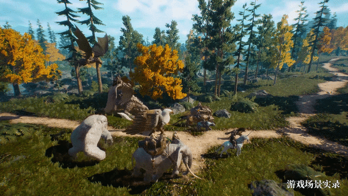 黑暗与光明，解锁宠物驯服的奇幻之旅