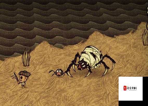 饥荒蜘蛛帽打蜘蛛女王在资源管理中的重要性