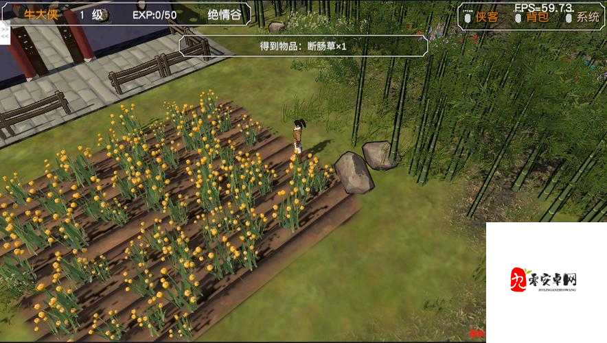 金庸群侠传光明顶怎么进，资源管理、技巧与最大化价值