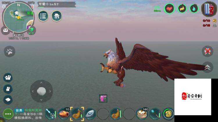 创造与魔法，揭秘极品鸟必刷地点，助你轻松捕捉飞行坐骑