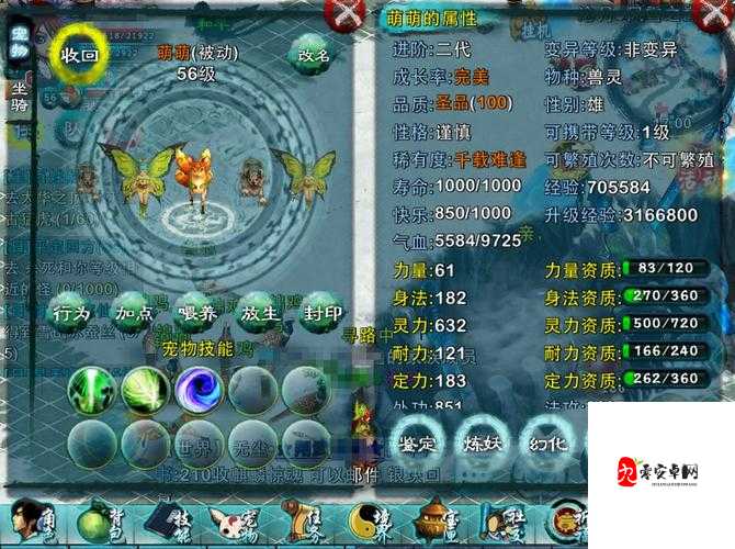 忘仙职业哪个好，资源管理、高效利用与避免浪费的全面解析