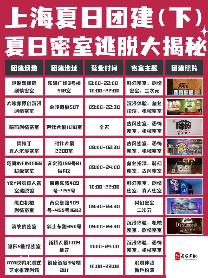 密室逃脱大揭秘，解锁密码箱的智勇攻略