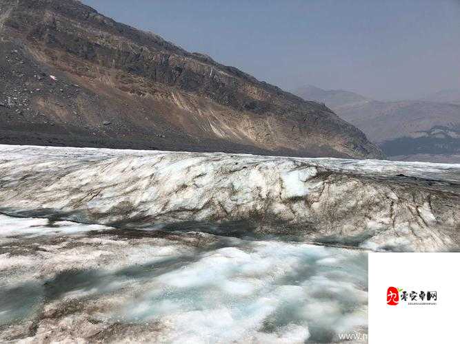 冰原守卫者，解锁破碎的北方小镇在资源管理中的重要性及策略