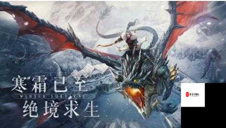 冰原守卫者的神秘挑战，猎魔城探秘