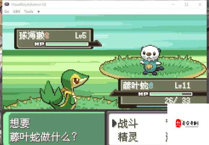 口袋妖怪金银详细攻略，资源管理的艺术