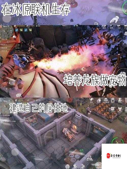 冰原守卫者，如何优雅地分享你的家园