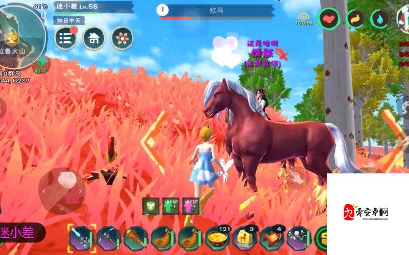 创造与魔法中捕捉马的奇妙之旅