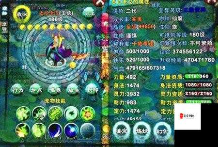 忘仙多宝阁攻略，寻宝之旅的终极指南