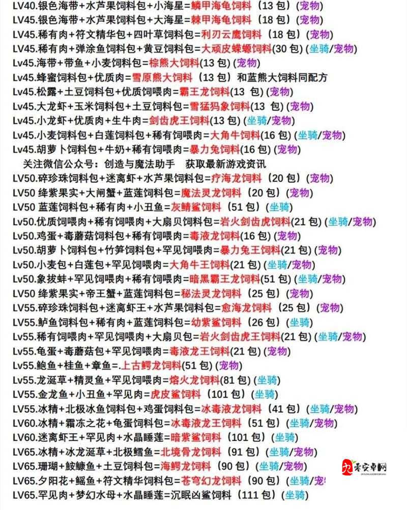 创造与魔法，打造你的专属家园宠物指南