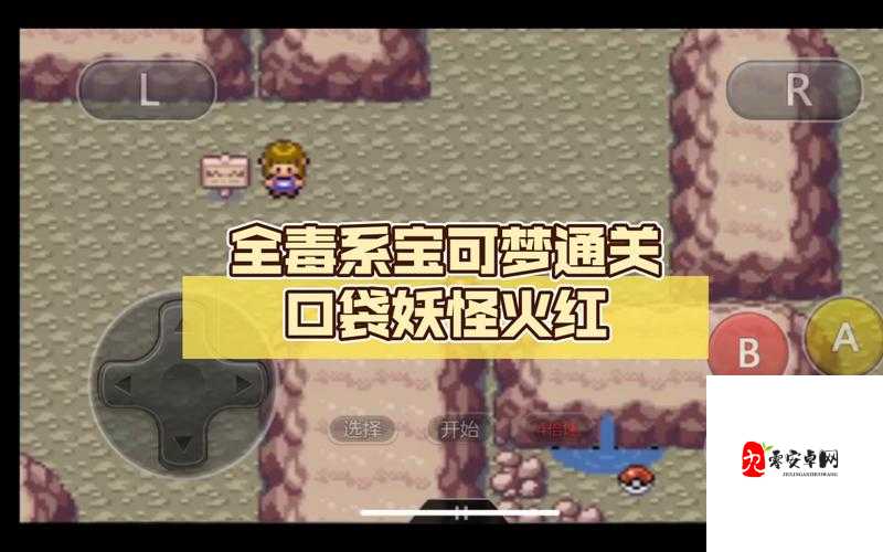 口袋妖怪最后的火红攻略，资源管理的艺术